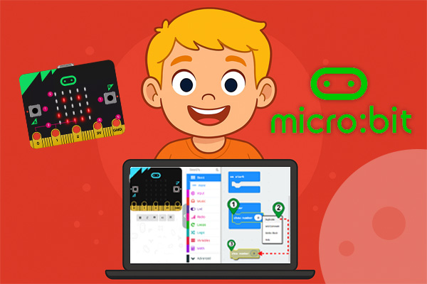 Micro:bit